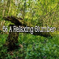 56 A Relaxing Slumber