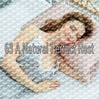 63 Естественный идеальный отдых
