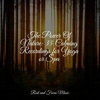 The Power Of Nature: 35 Calming Recordings for Yoga or Spa