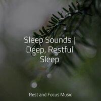 Sleep Sounds | Deep, Restful Sleep