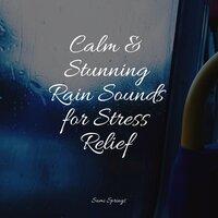 Calm & Stunning Rain Sounds for Stress Relief