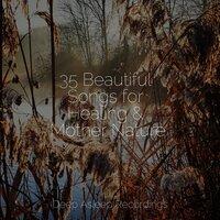 35 Beautiful Songs for Healing & Mother Nature