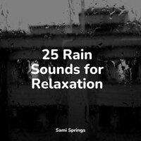 25 Rain Sounds for Relaxation