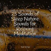 25 Sounds of Sleep Nature Sounds for Relaxing Meditation