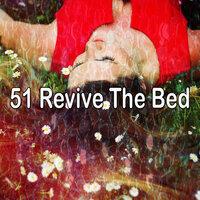 51 Revive the Bed