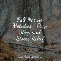 Fall Nature Melodies | Deep Sleep and Stress Relief