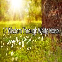 17 мудрость сквозь белый шум