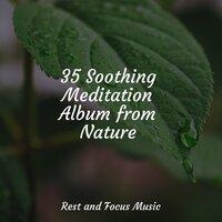 35 Soothing Meditation Album from Nature