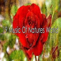 19 Музыка Мира Природы