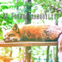 41 Found Tranquility