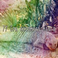 77 Spa Accompaniments