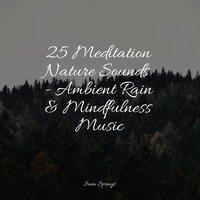 25 Meditation Nature Sounds - Ambient Rain & Mindfulness Music
