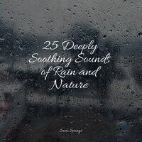 25 Deeply Soothing Sounds of Rain and Nature