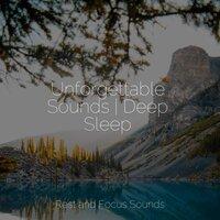 Unforgettable Sounds | Deep Sleep