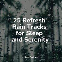 25 Refresh Rain Tracks for Sleep and Serenity