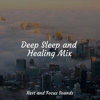 Deep Sleep and Healing Mix