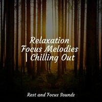 Relaxation Focus Melodies | Chilling Out