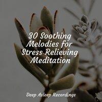 30 Soothing Melodies for Stress Relieving Meditation