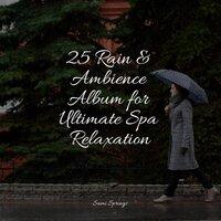 25 Rain & Ambience Album for Ultimate Spa Relaxation