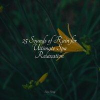 25 Sounds of Rain for Ultimate Spa Relaxation