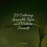 25 Calming Loopable Rain and Nature Sounds