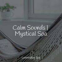 Calm Sounds | Mystical Spa