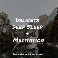 Delicate Deep Sleep & Meditation