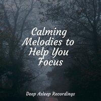 Calming Melodies to Help You Focus
