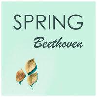Beethoven - Spring