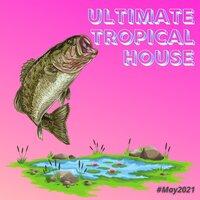 Ultimate Tropical House (#May 2021)