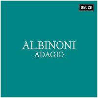 Albinoni, Giazotto: Adagio in G Minor for Organ and Strings (Arr. for trumpet and strings A. Roizenblat)
