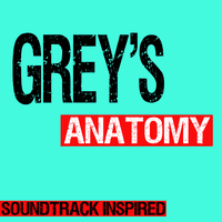 Grey's Anatomy Soundtrack (Inspired)