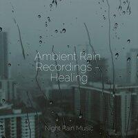 Ambient Rain Recordings - Healing