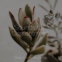 Sounds for Contentment