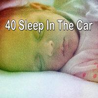 40 Sleep in the Car