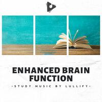 Enhanced Brain Function