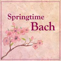Springtime Bach