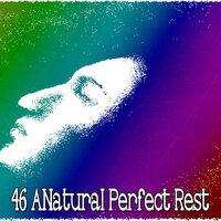 46 Anatural Perfect Rest
