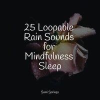 25 Loopable Rain Sounds for Mindfulness Sleep