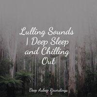 Lulling Sounds | Deep Sleep and Chilling Out