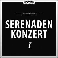 Dvorak: Serenadenkonzert, Op. 22 - Tschechische Suit, Op. 39