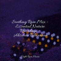 Soothing Rain Mix - Essential Nature Recordings - Absolute Relaxation