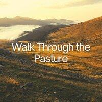 Walk Through the Pasture