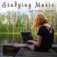 Studying Music: Study Music and Nature Sounds, Forest Sounds and Bird Sounds For Background Music For Relaxation, Focus, Concentration, Mindfulness, Music For Reading and Study Playlist