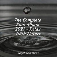 The Complete Rain Album 2021 - Relax With Nature