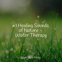 #1 Healing Sounds of Nature - Water Therapy