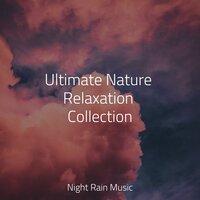 Ultimate Nature Relaxation Collection