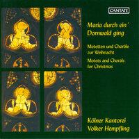 Choral Concert: Cologne Kantorei - Schroeter, L. / Sweelinck, J.P. / Brahms, J. / Bruch, M. / Reger, M. (Motets for Christmas)