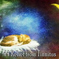 44 Relief from Tinnitus
