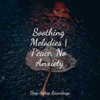 Soothing Melodies | Peace, No Anxiety